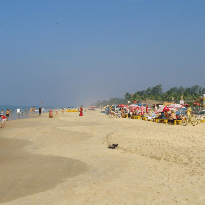 Benaulim Beach